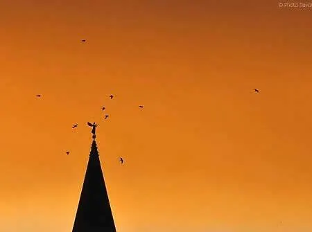 Ane Lägenhet Zadar