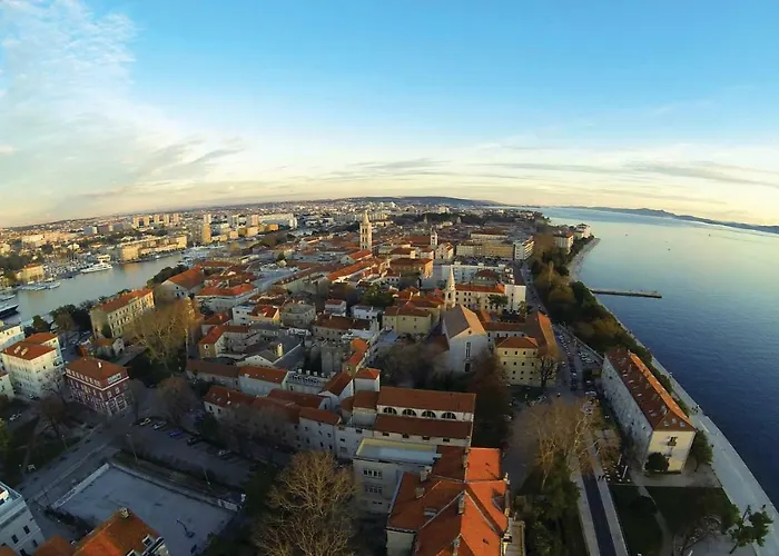 Ane Zadar